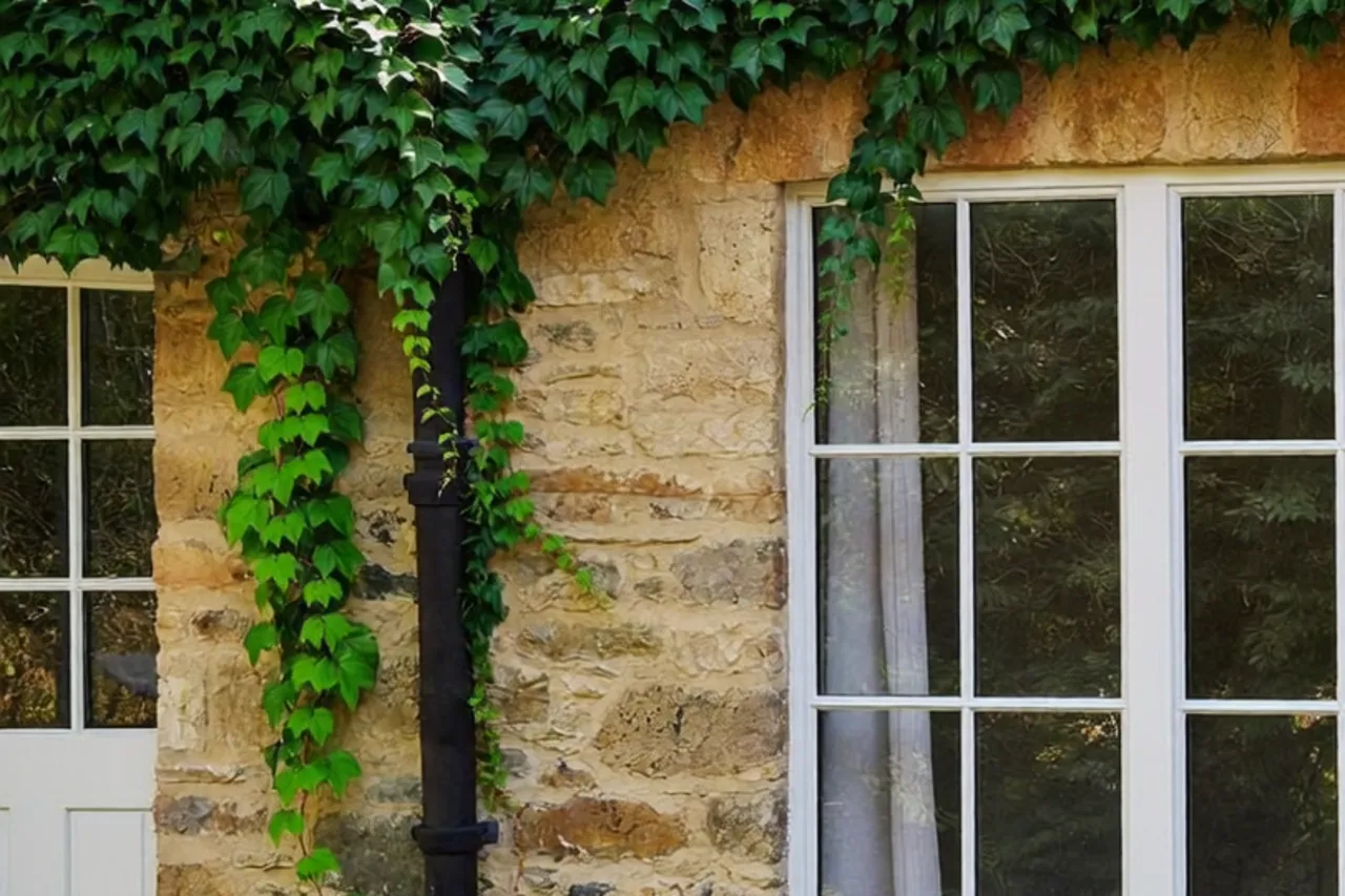 Detail of a freshly painted hardwood timber sash window